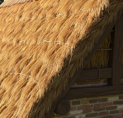 Thatch Roof @